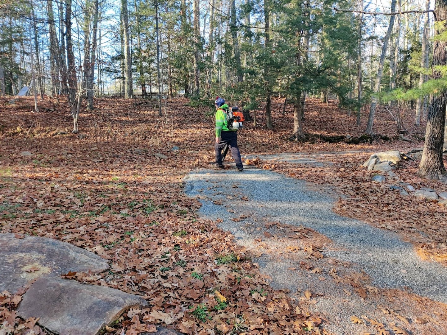Fall leaf clean-up